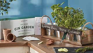 Gin Herb Garden Gift Set Kit