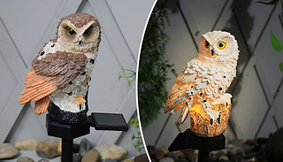Solar Powered Realistic Owl Stake Garden Light - 2 Colours