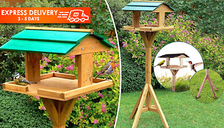 Traditional Standing Wooden Bird Feeding Table