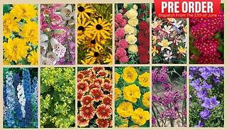 PRE-SALE: 12-Piece Cottage Garden Collection