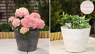 1, 2 or 3 Stone-Effect Planters - 2 Colours