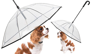 Transparent Dog Walking Umbrella with Chain