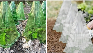 4, 6, 8, 12 or 16-Pack Plastic Plant Protection Covers - 2 Colours