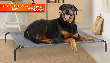 Chewy elevated hot sale dog bed